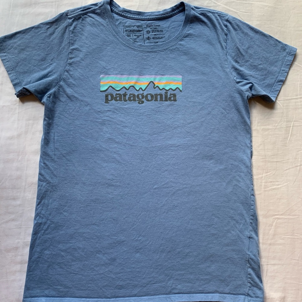 Blue Patagonia t-shirt